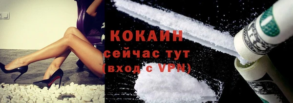 скорость Ельня