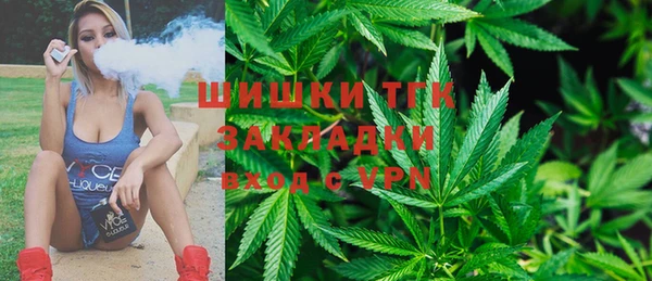 скорость Ельня