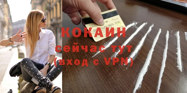 скорость Ельня