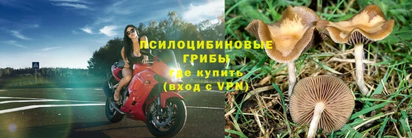гашишное масло Елабуга