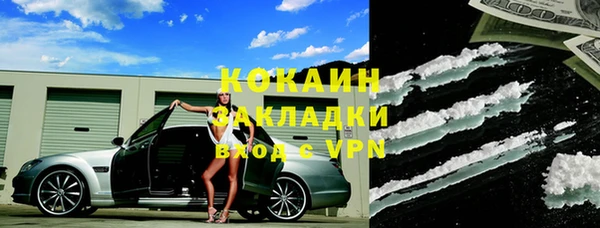 скорость Ельня